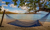 Gibney Haven Just back from our 5th vacation on St. John, one of the three US Virgin Islands. This hammock is on Gibney (Oppenheimer) Beach -- a very secluded beach with...